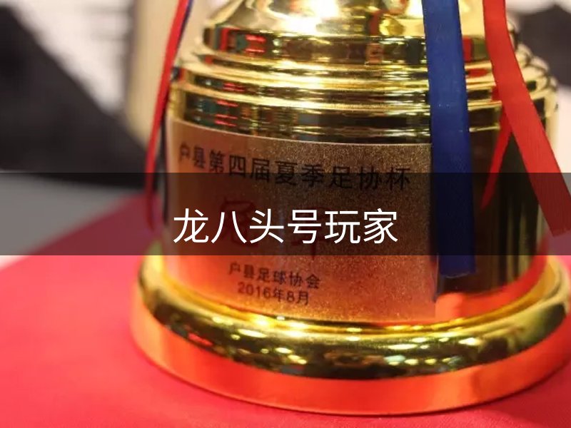 了解龙八头号玩家